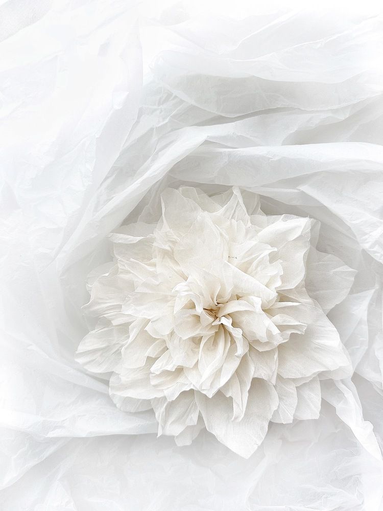 Фотография автора Елена Декерт