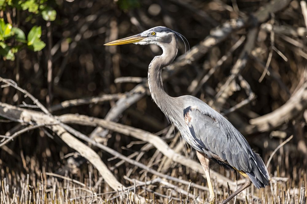 Photograph by Иван Соловьёв