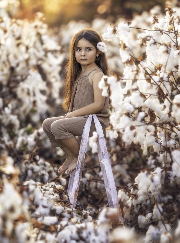 Photograph by Tahel Shenhav