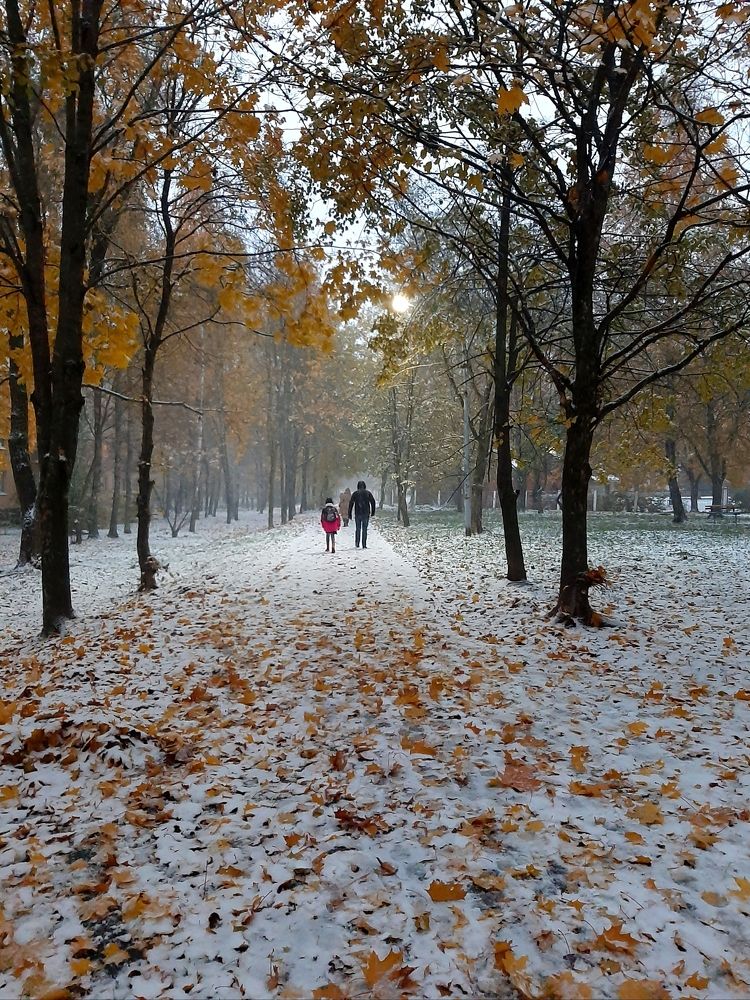 Утро первого снега