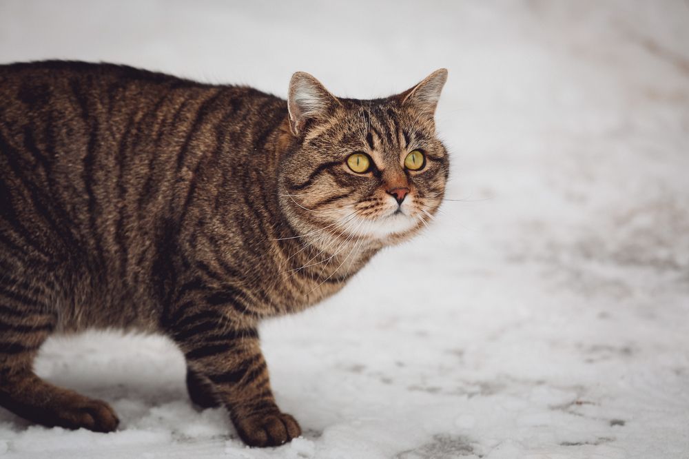 Photograph by Светлана Солдатченкова