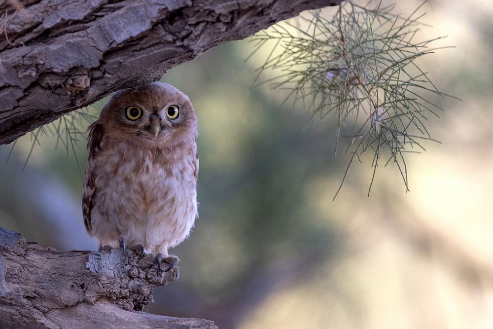 Photograph by dana berger