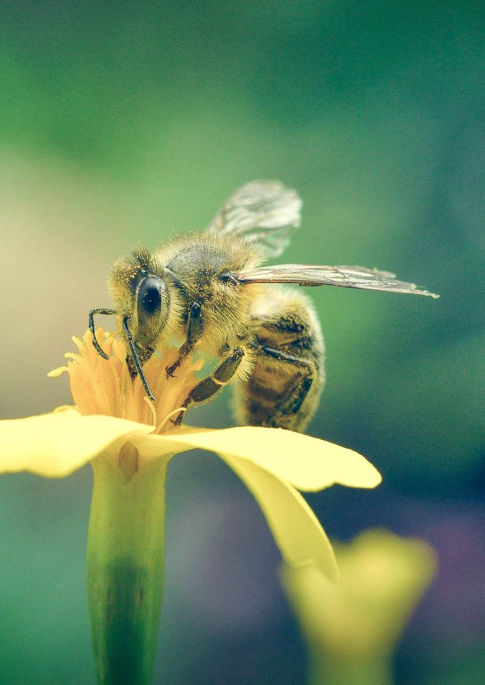 Photograph by Олеся zme