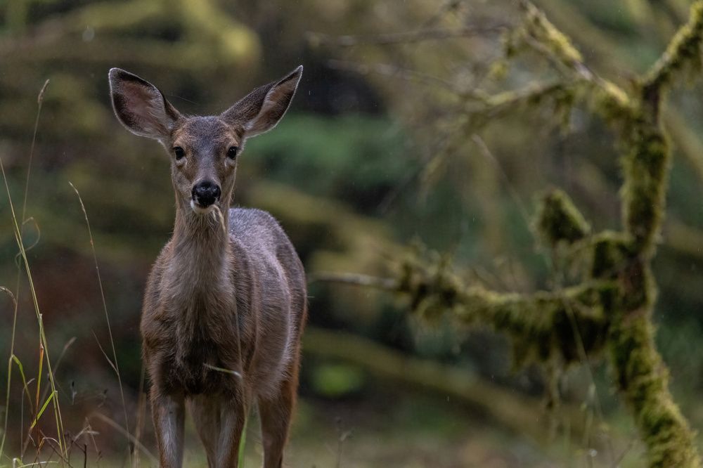 Photograph by dana berger