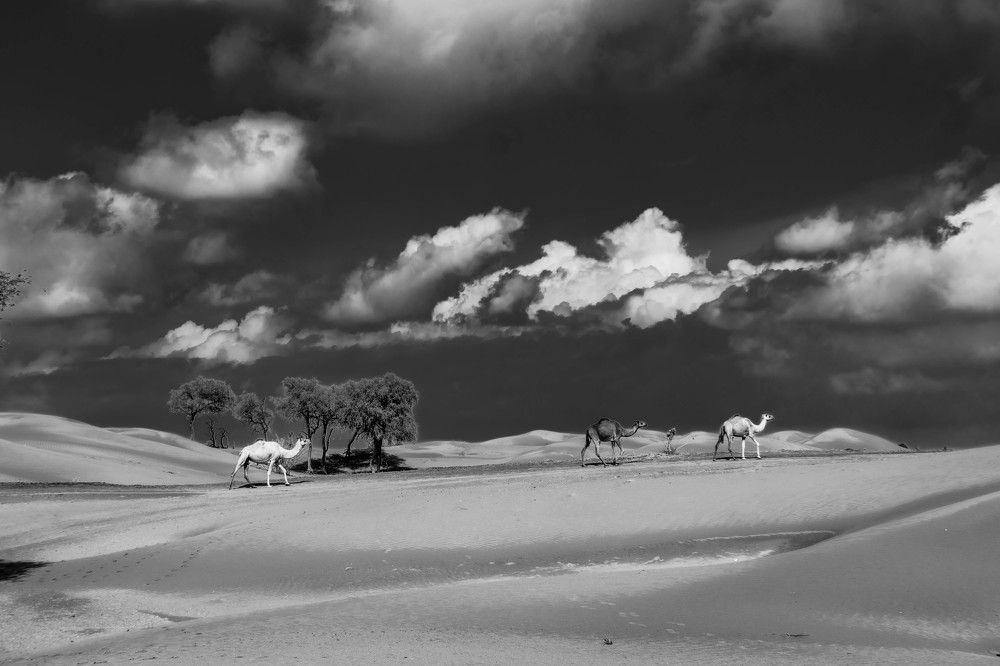 Photograph by Zubair Irshad