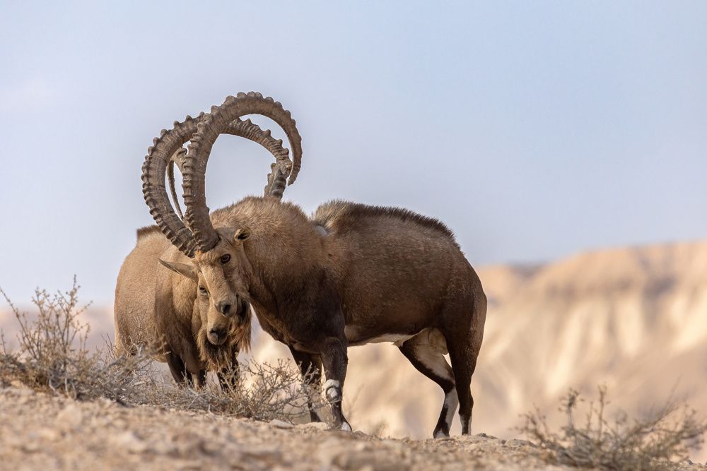 Photograph by dana berger