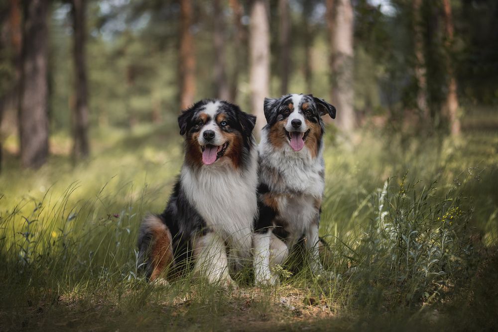 Photograph by Курашкина Анна