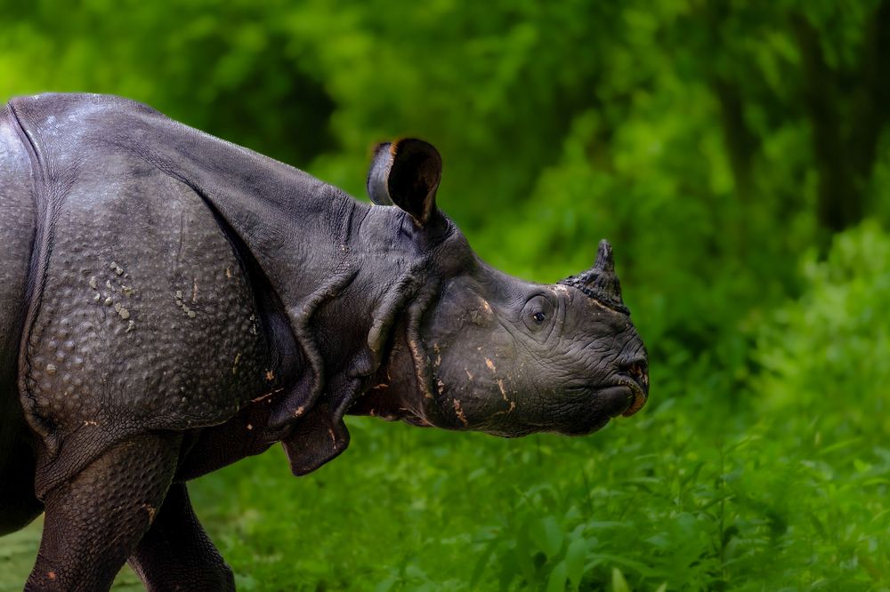 Photograph by ASHWINI BHONGE