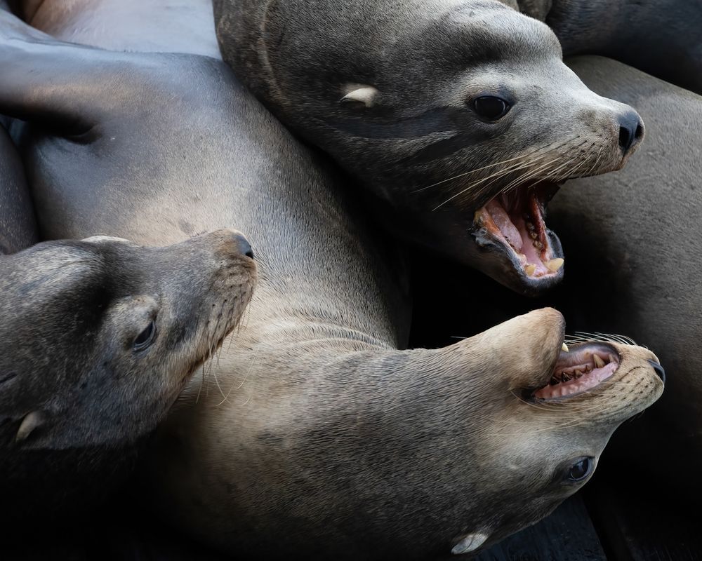 Photograph by ASHWINI BHONGE