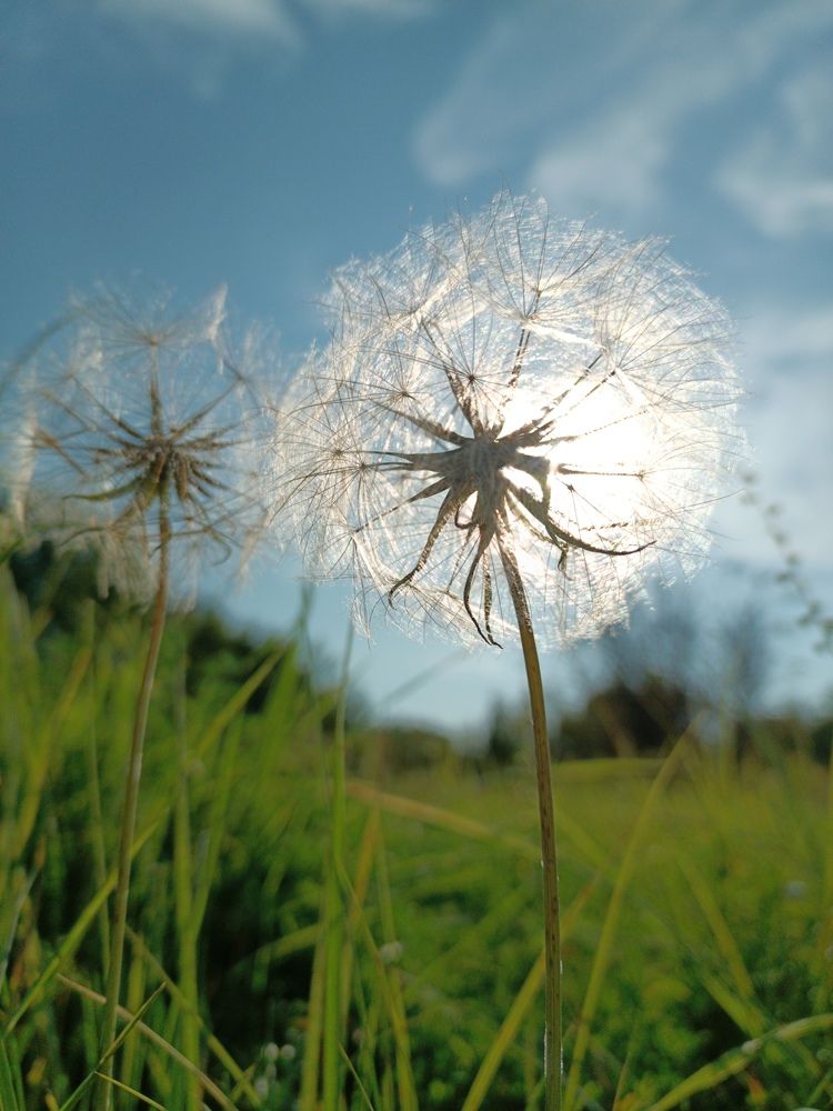 Photograph by Светлана Кондрашова