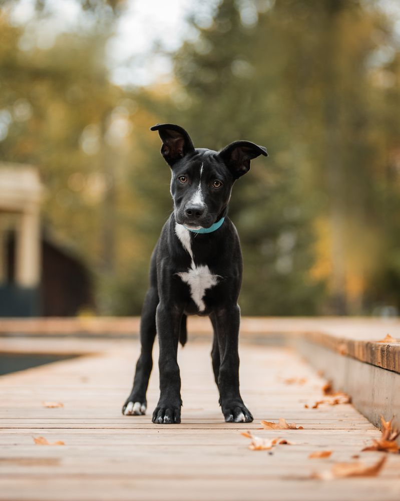 Photograph by Курашкина Анна