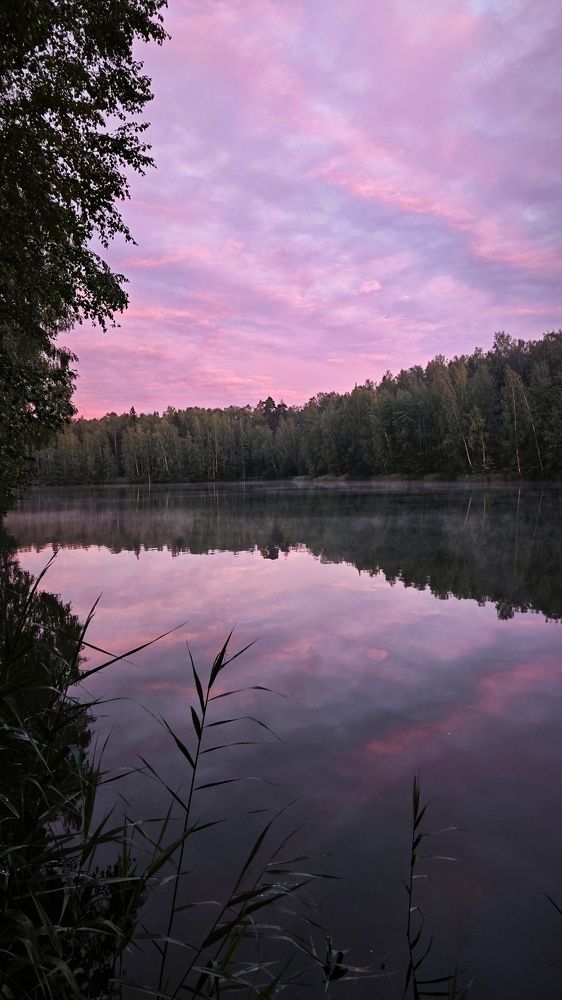 Photograph by Ekaterina Shilkina