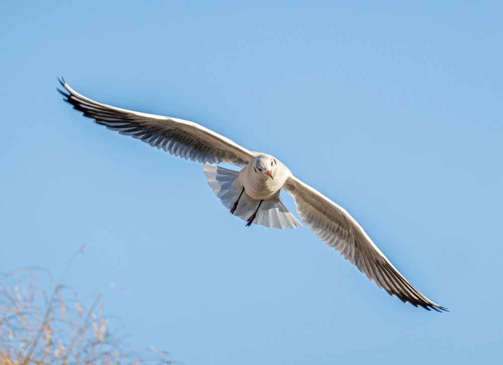 Photograph by Egor Koshkin