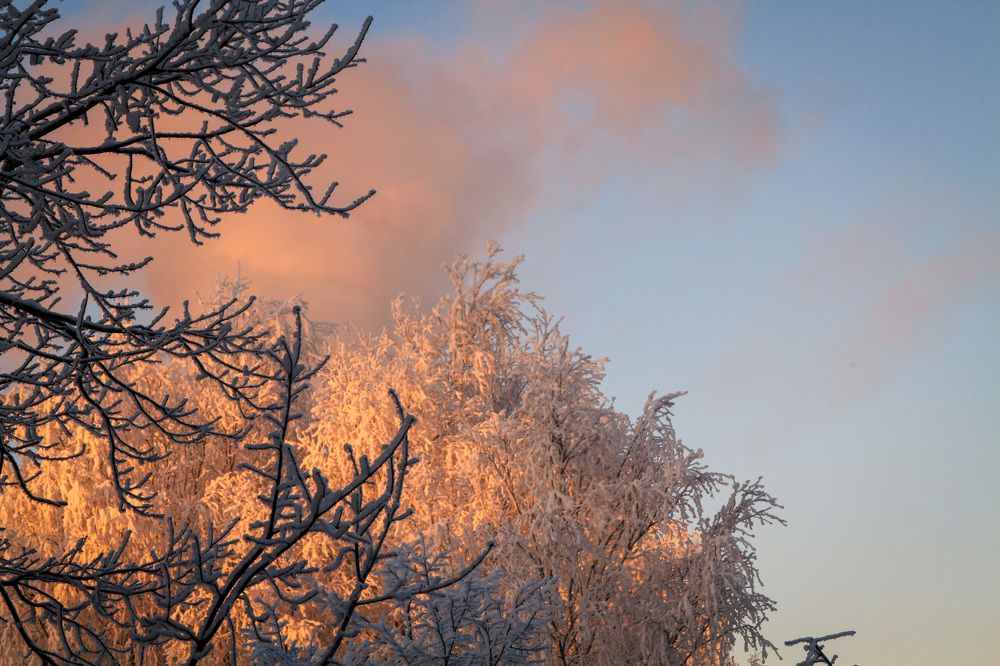 Photograph by Алёна