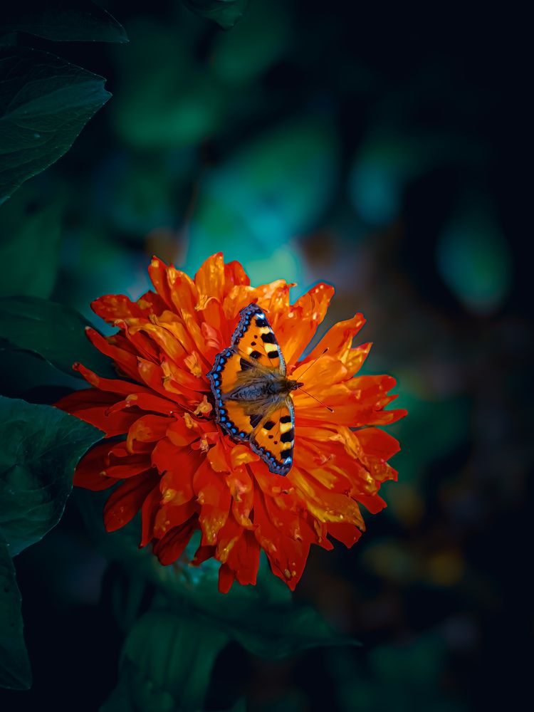 Photograph by Наташа Черепенина