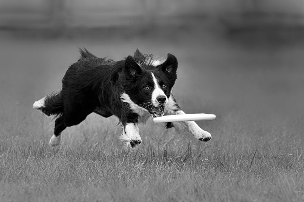 Photograph by Юлия Зубкова