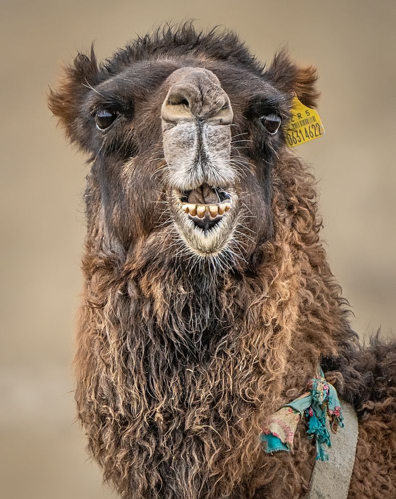 Photograph by Ольга Мусиенко