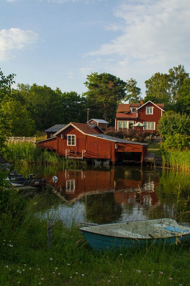 Фотография автора Irina Panina