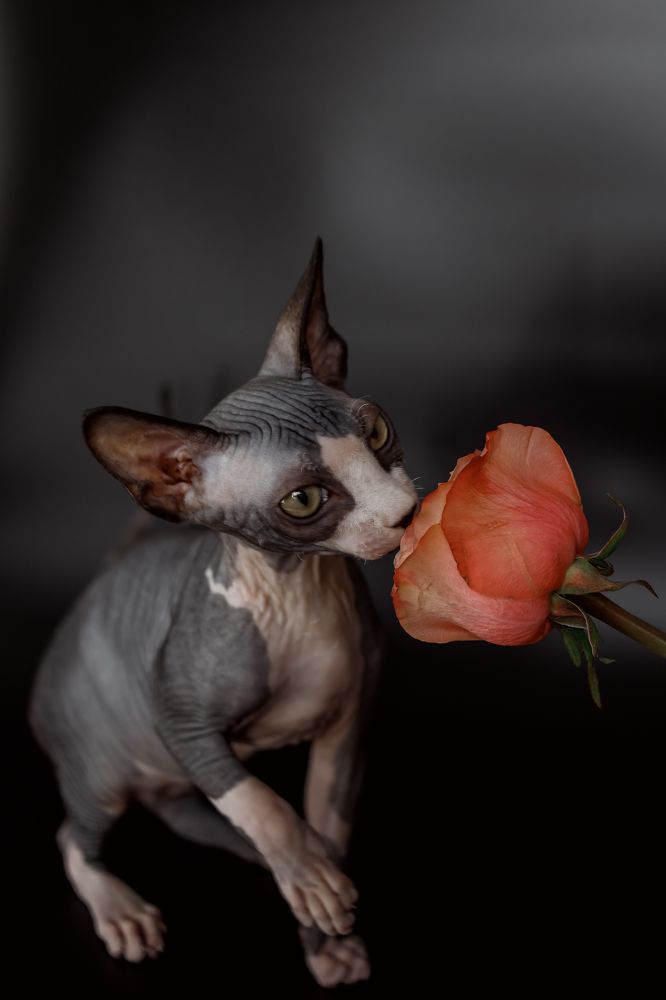 Photograph by Ольга Осинина