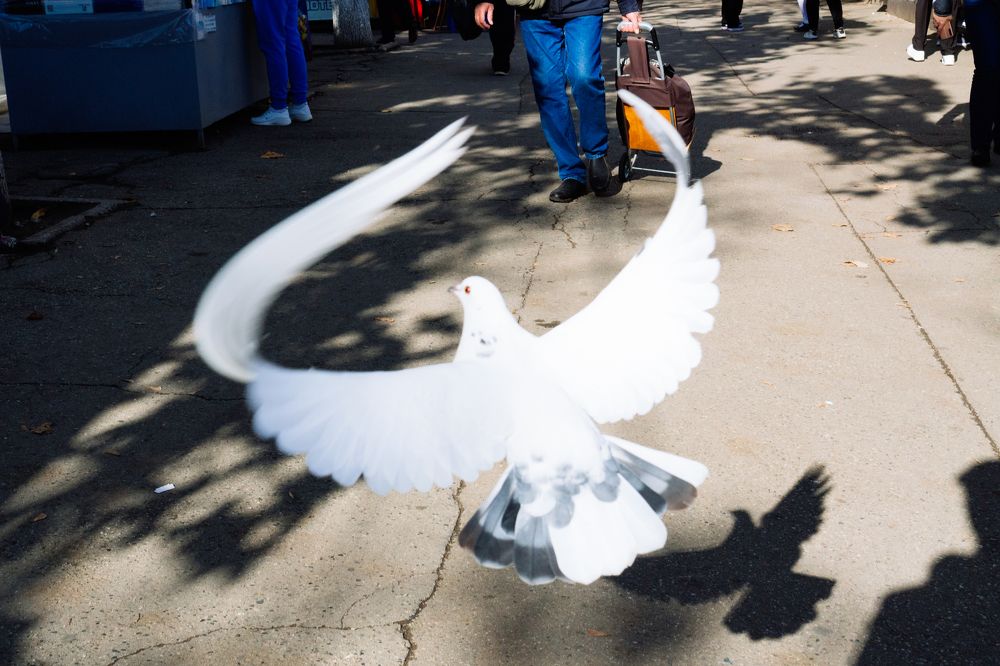 Photograph by Арсен Исаченко