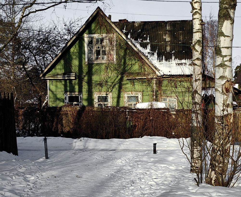 Photograph by Zina Lifanova