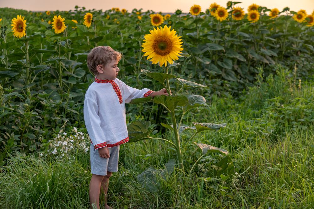 Photograph by Сергей Немцев