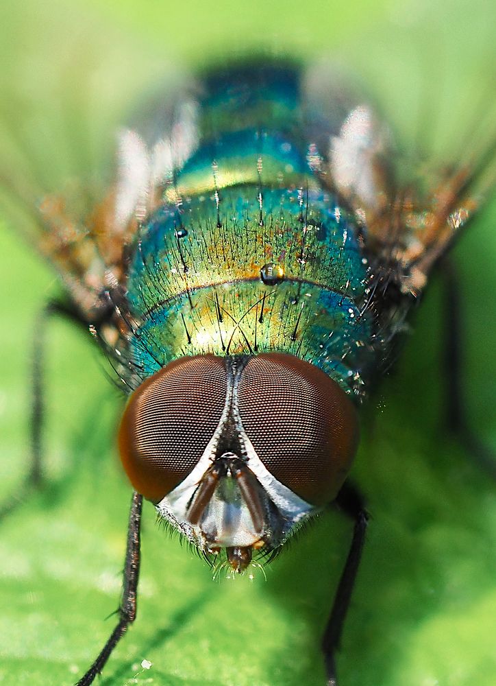 Photograph by Протченко Ирина