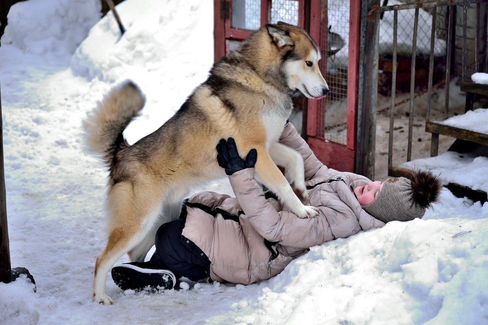 Photograph by Ronix955