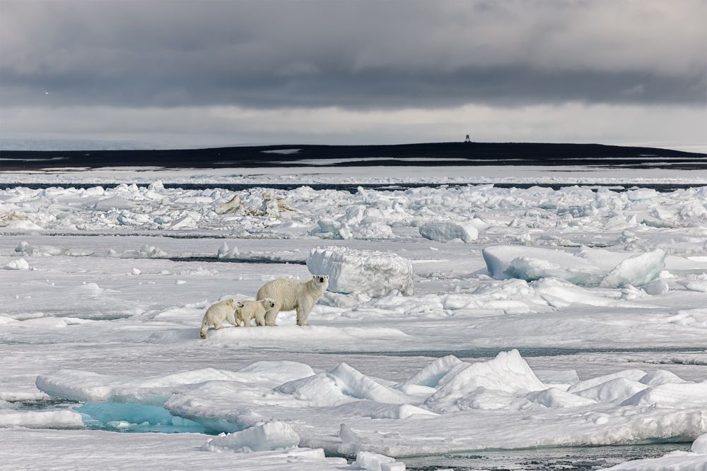 Мама недовольна