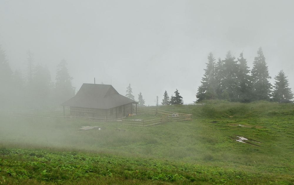 Photograph by Валерий Наумов