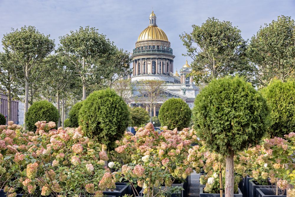 Photograph by Шурчков Юрий