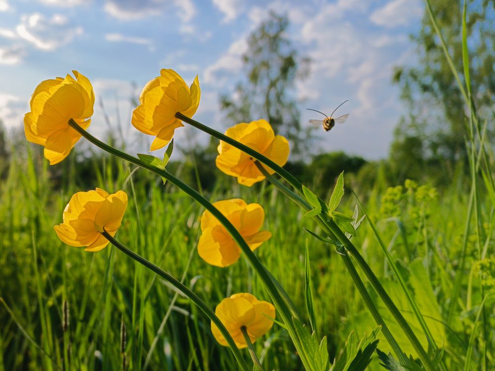 Photograph by Светлана Кондрашова