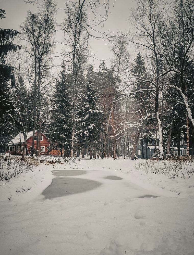 Photograph by Ольга Лобова