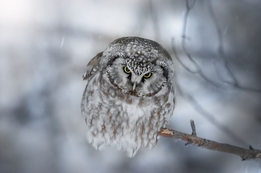 Photograph by Дарья