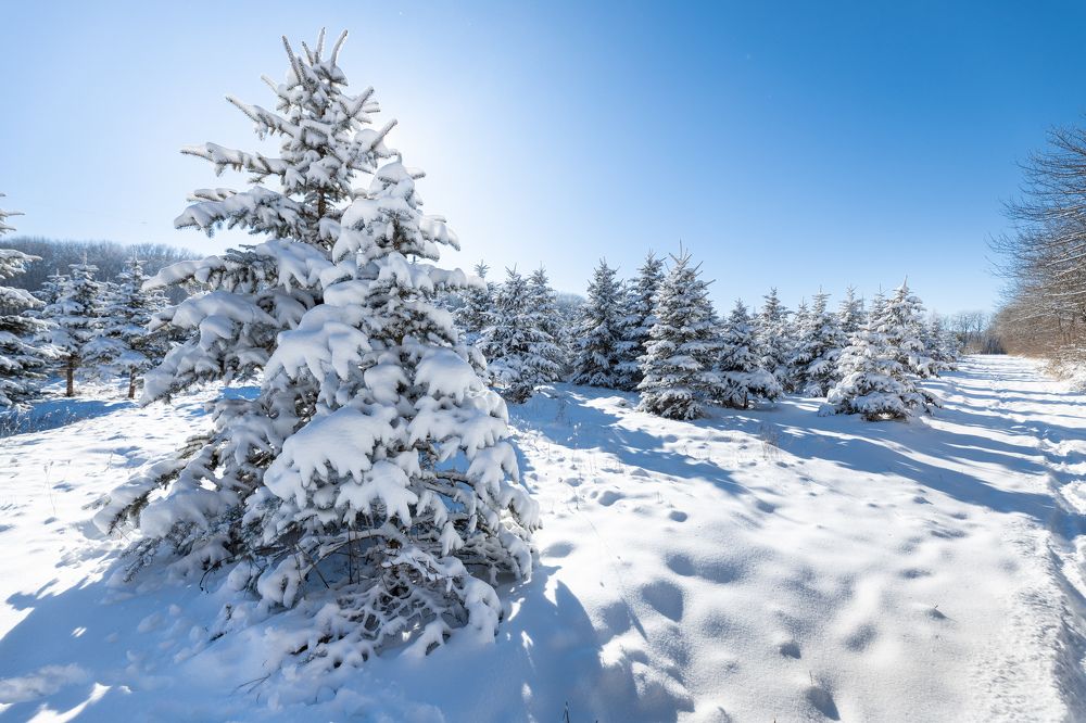 Photograph by Антон Скоморохов