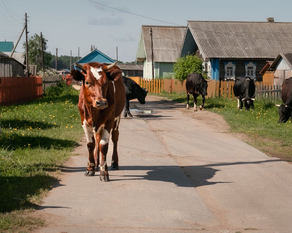 Photograph by Елена Захарова