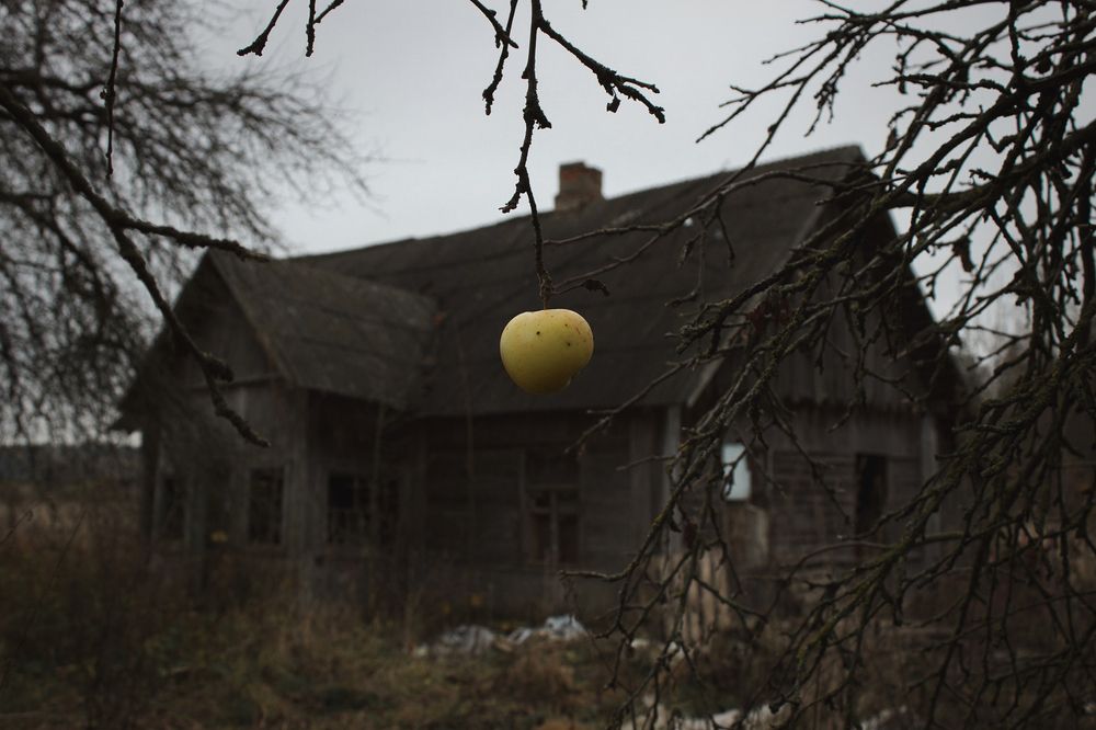 Photograph by Ольга Городецкая