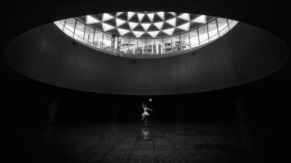 Photograph by Tuấn Nguyễn Tấn