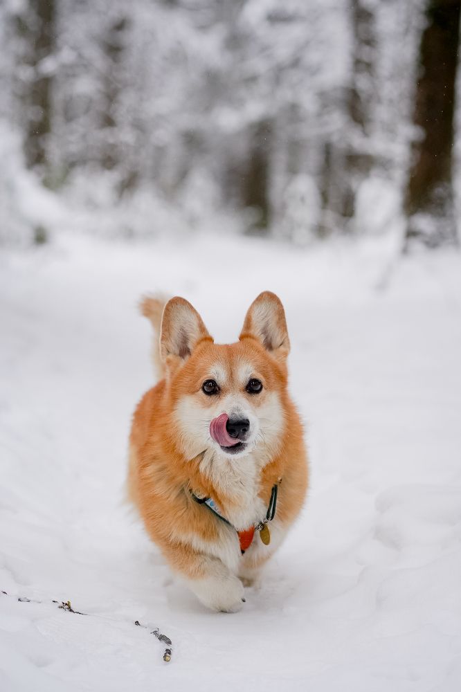 Photograph by Анна Полушина