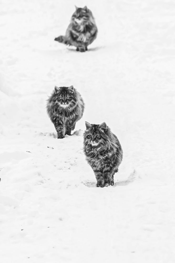 Photograph by Ольга Крючкова