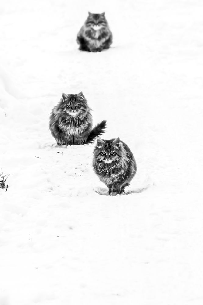 Photograph by Ольга Крючкова