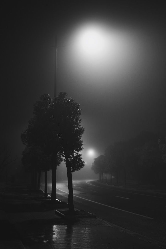 Photograph by 张睿嘉