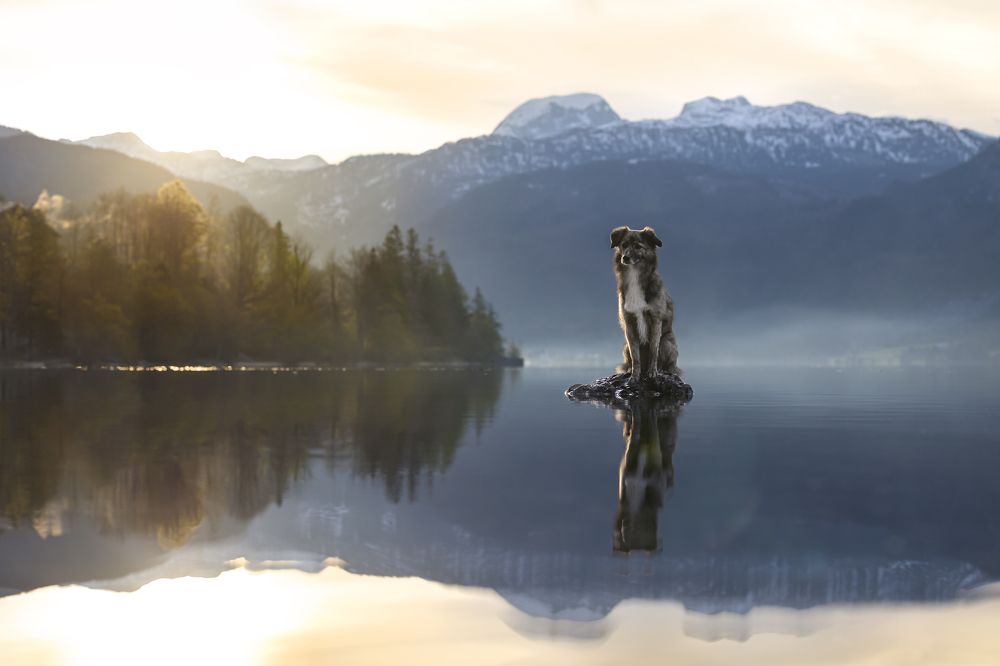 Photograph by Johanna Mehrke