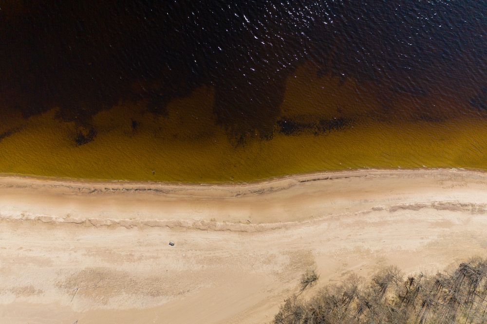 Photograph by Алексей