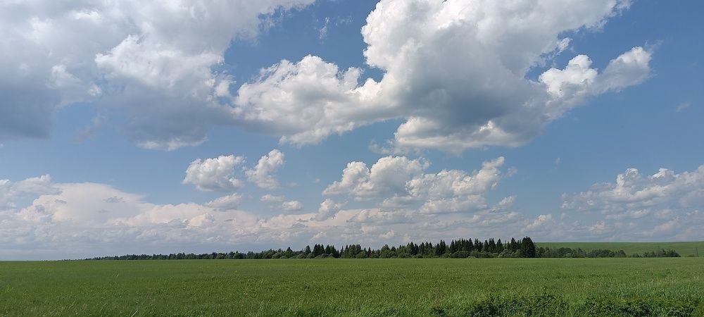 Фотография автора Жанна Афанасьева