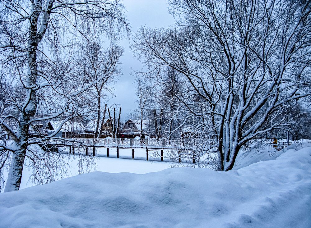 Фотография автора Виктор Парщиков