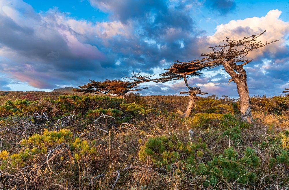 Photograph by Ольга Ченцова