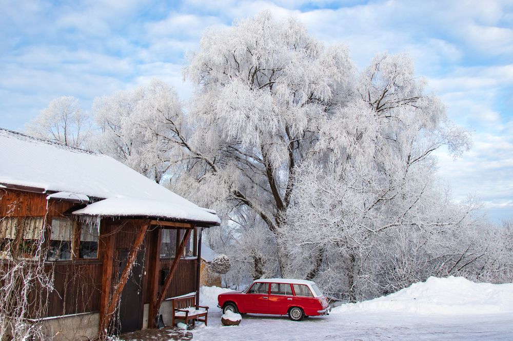 Фотография автора Светлана Разумовская