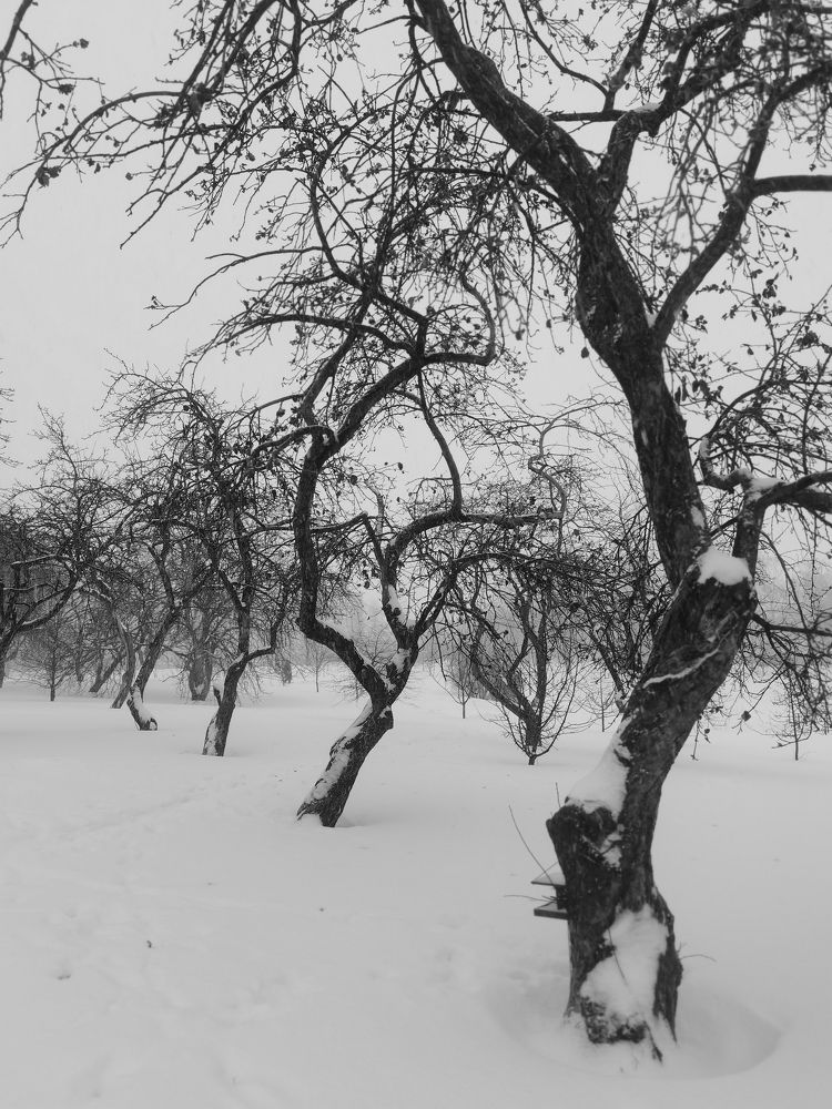 Photograph by Олеся Газиева