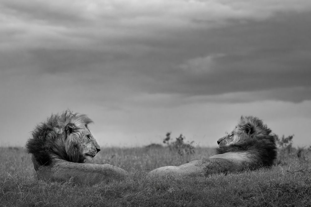 Photograph by Rémi Vacher